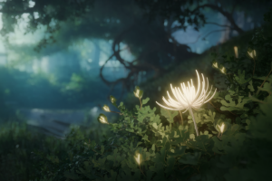 Chrysanthème à Aubes : Où Trouver cette Fleur dans Genshin Impact