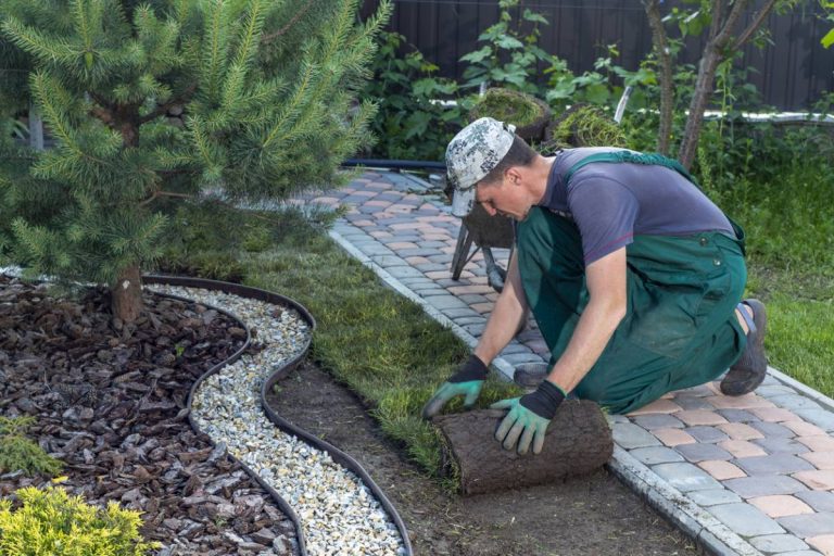 Comment choisir un jardinier pour l&rsquo;entretien de votre espace vert dans l&rsquo;Hérault ?
